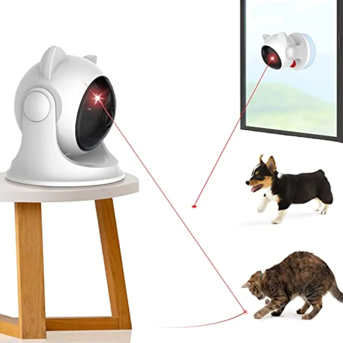 Automatic, interactive toys for cats/kittene/dog