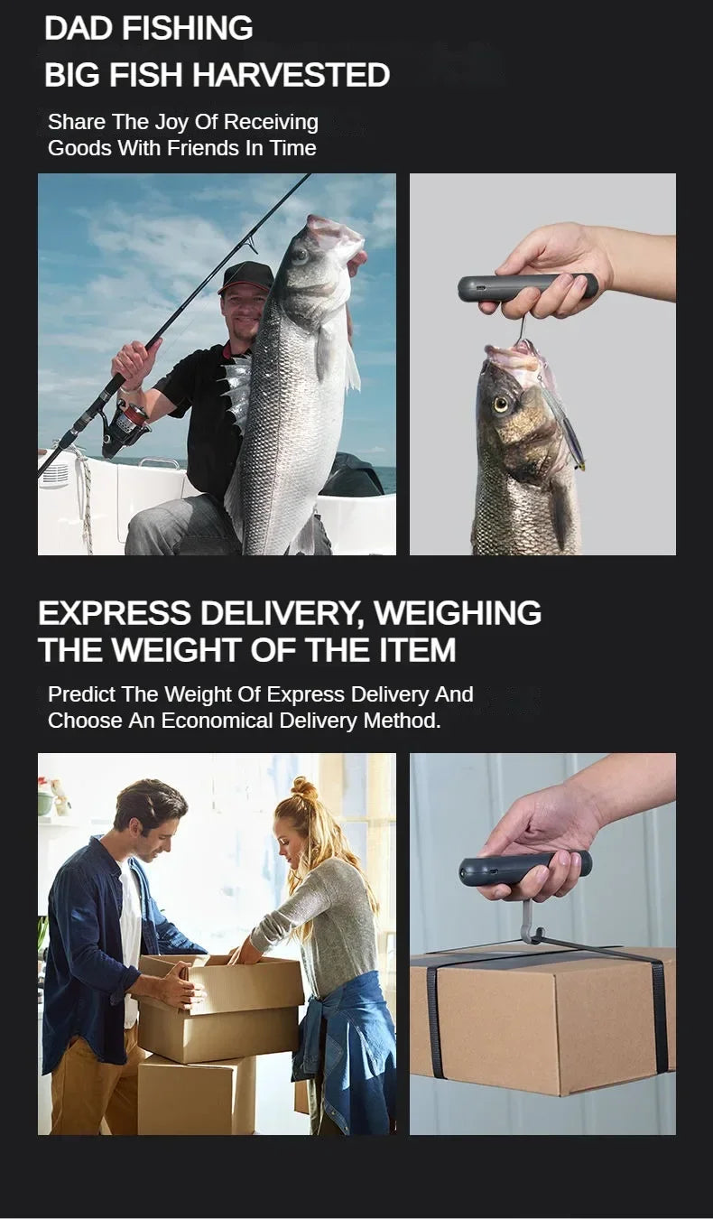 Electric handheld scale from 0.01-30kg