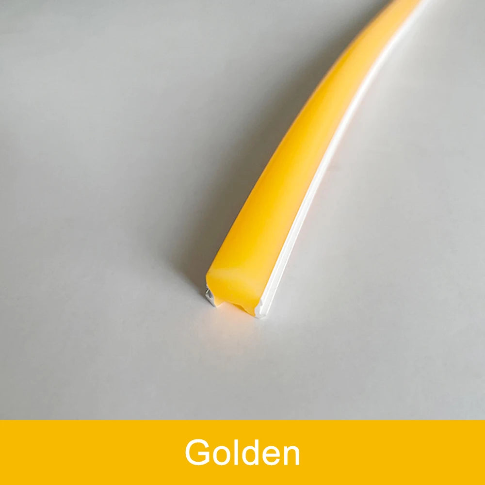 Outdoor neon strip model N109