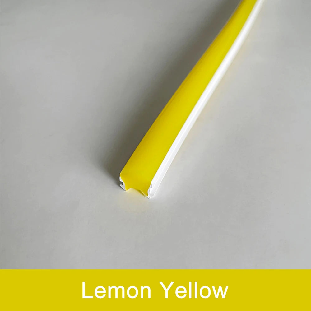 Outdoor neon strip model N109