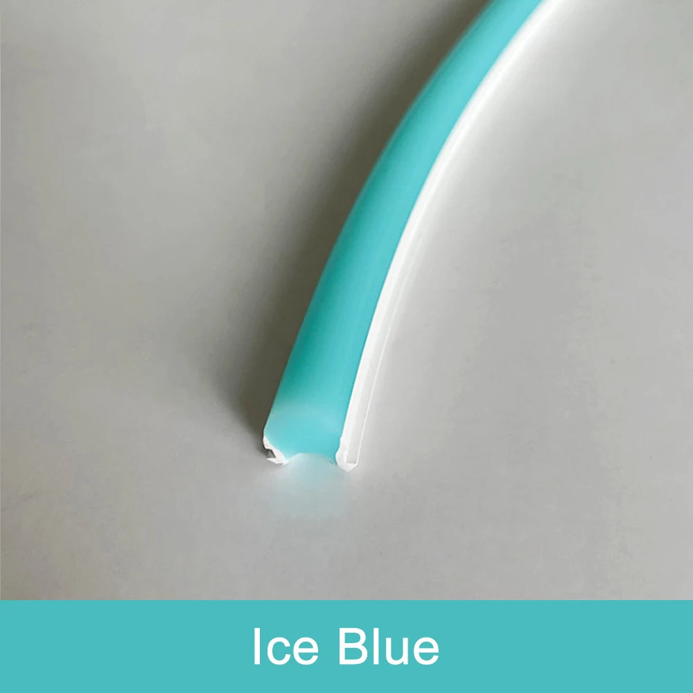 Outdoor neon strip model N109