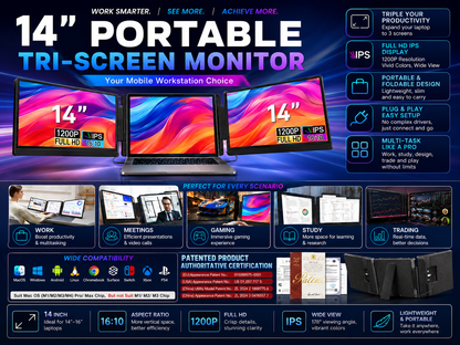 Double screen display extender