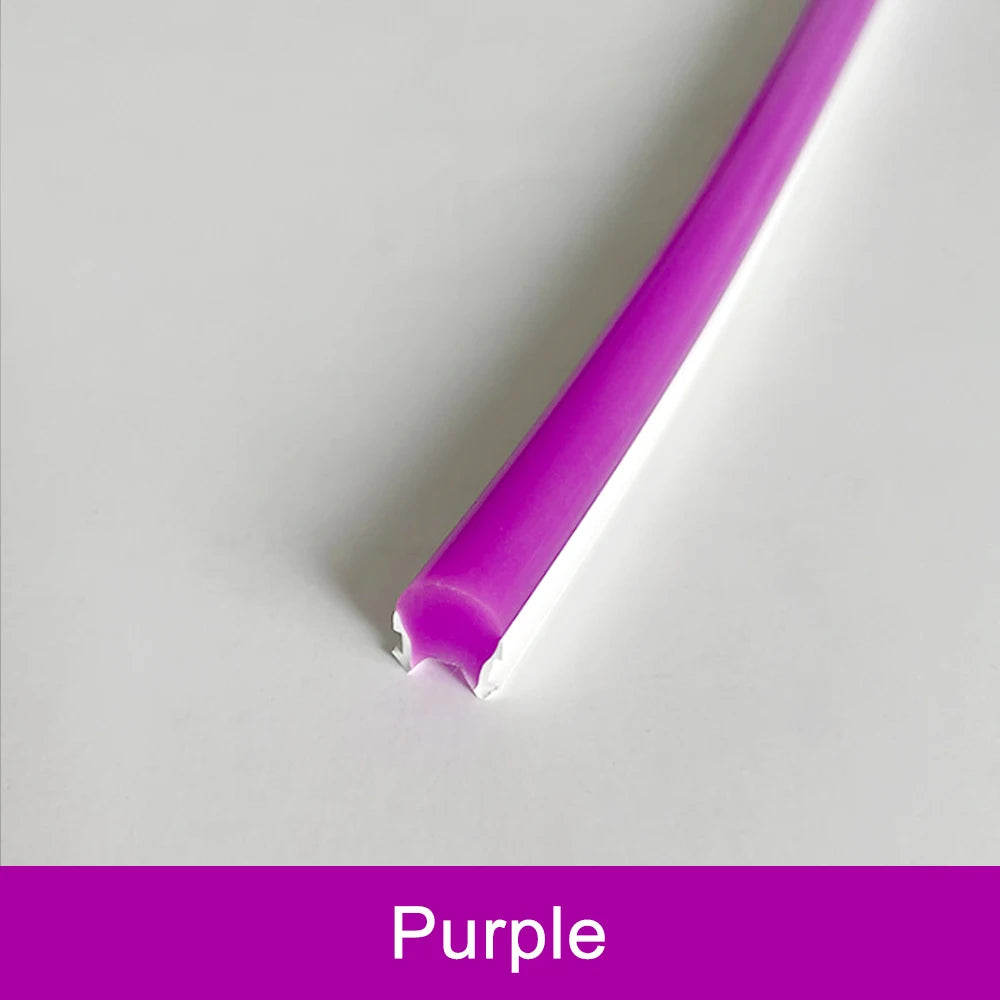 Outdoor neon strip model N109