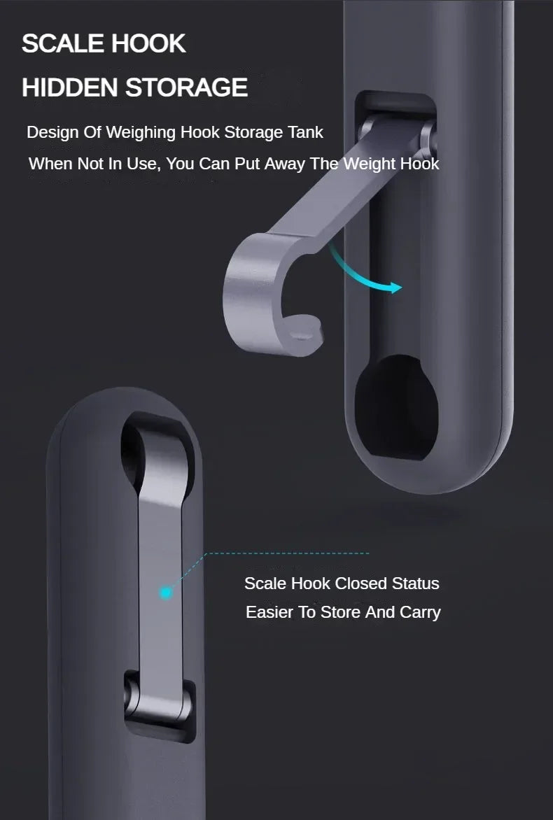 Electric handheld scale from 0.01-30kg