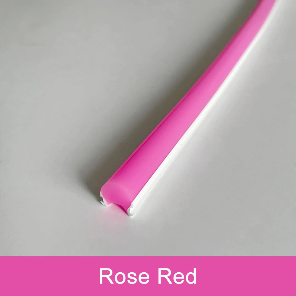 Outdoor neon strip model N109