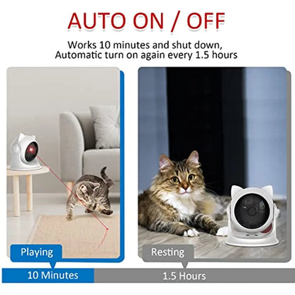 Automatic, interactive toys for  cats/kittene/dog