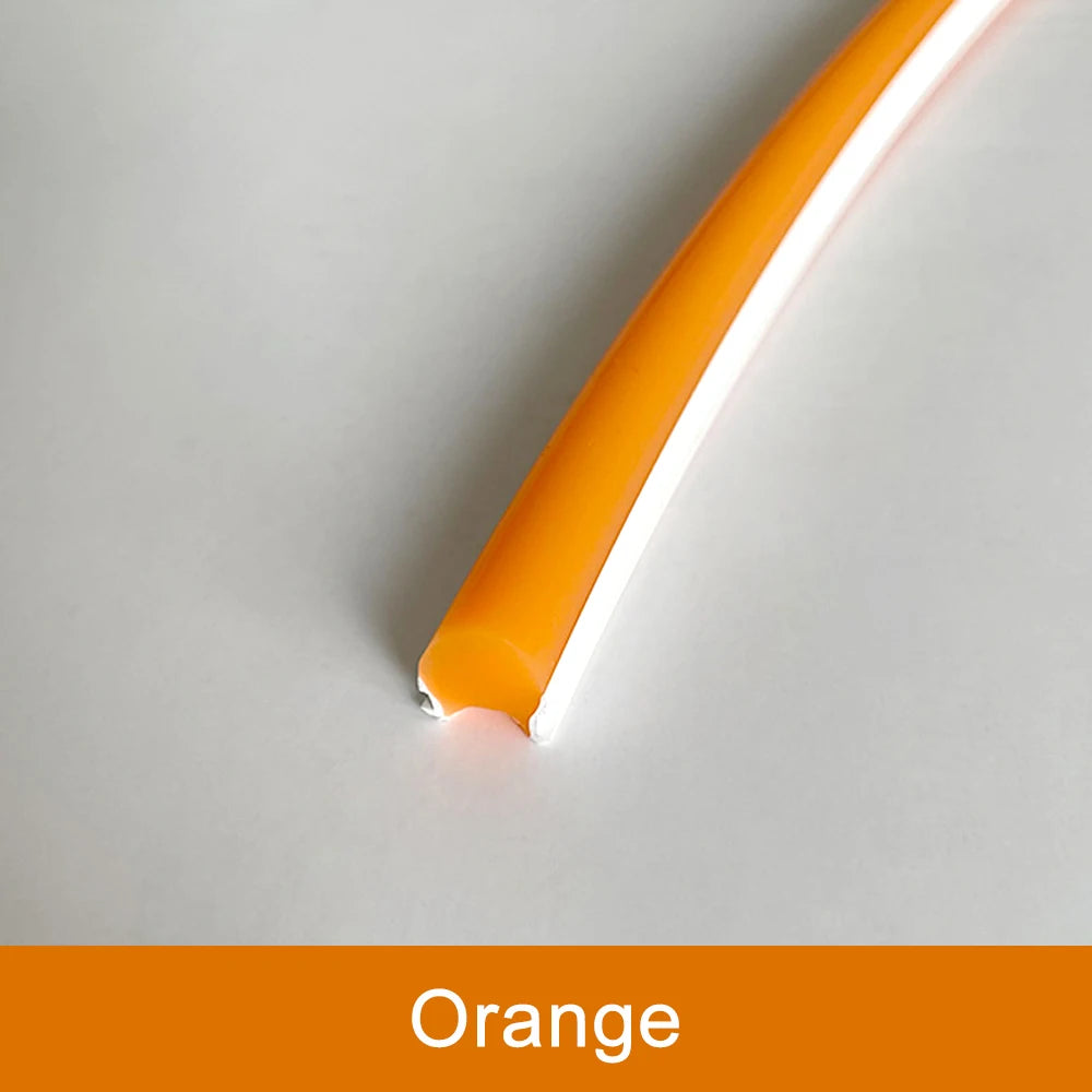 Outdoor neon strip model N109