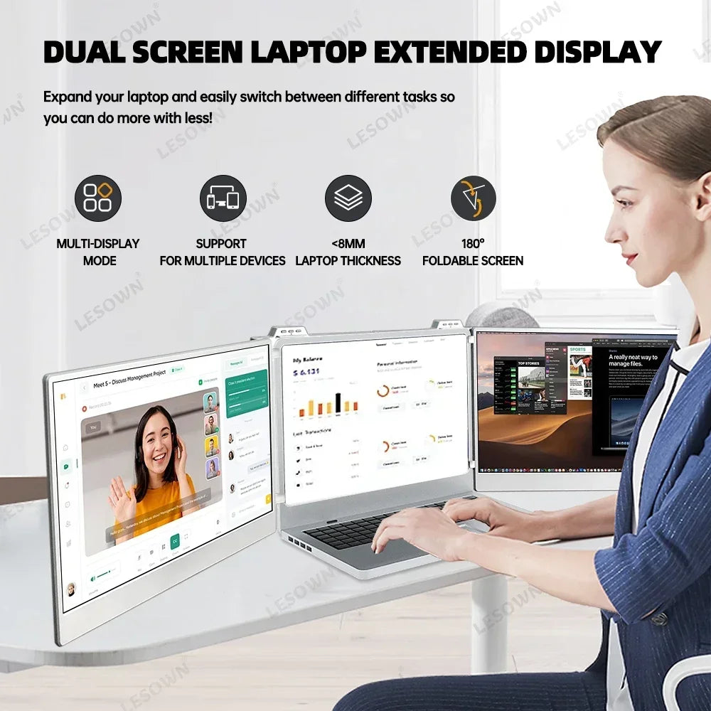 Double screen display extender