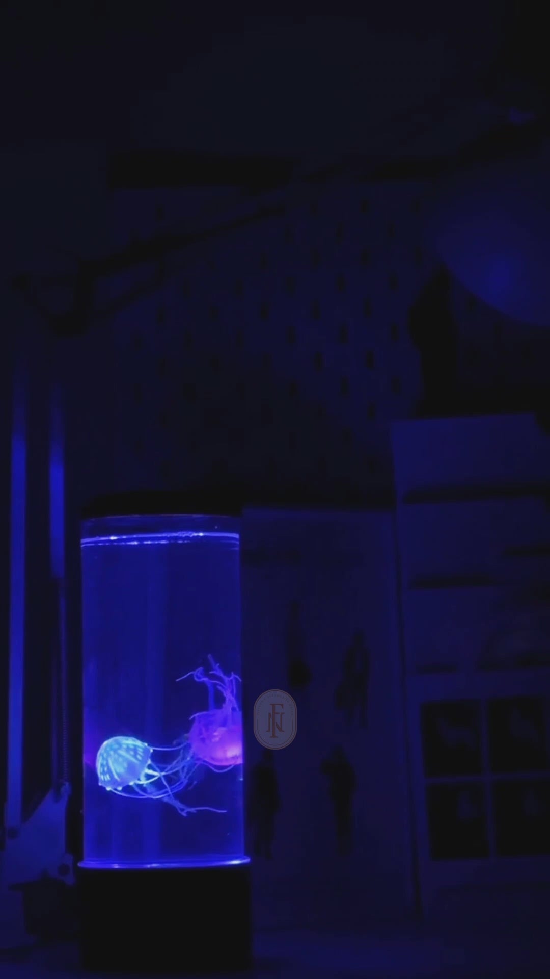 Load video: Jellyfish lamp led night light