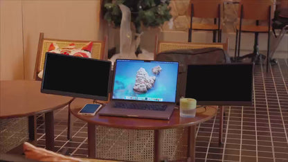 Double screen display extender
