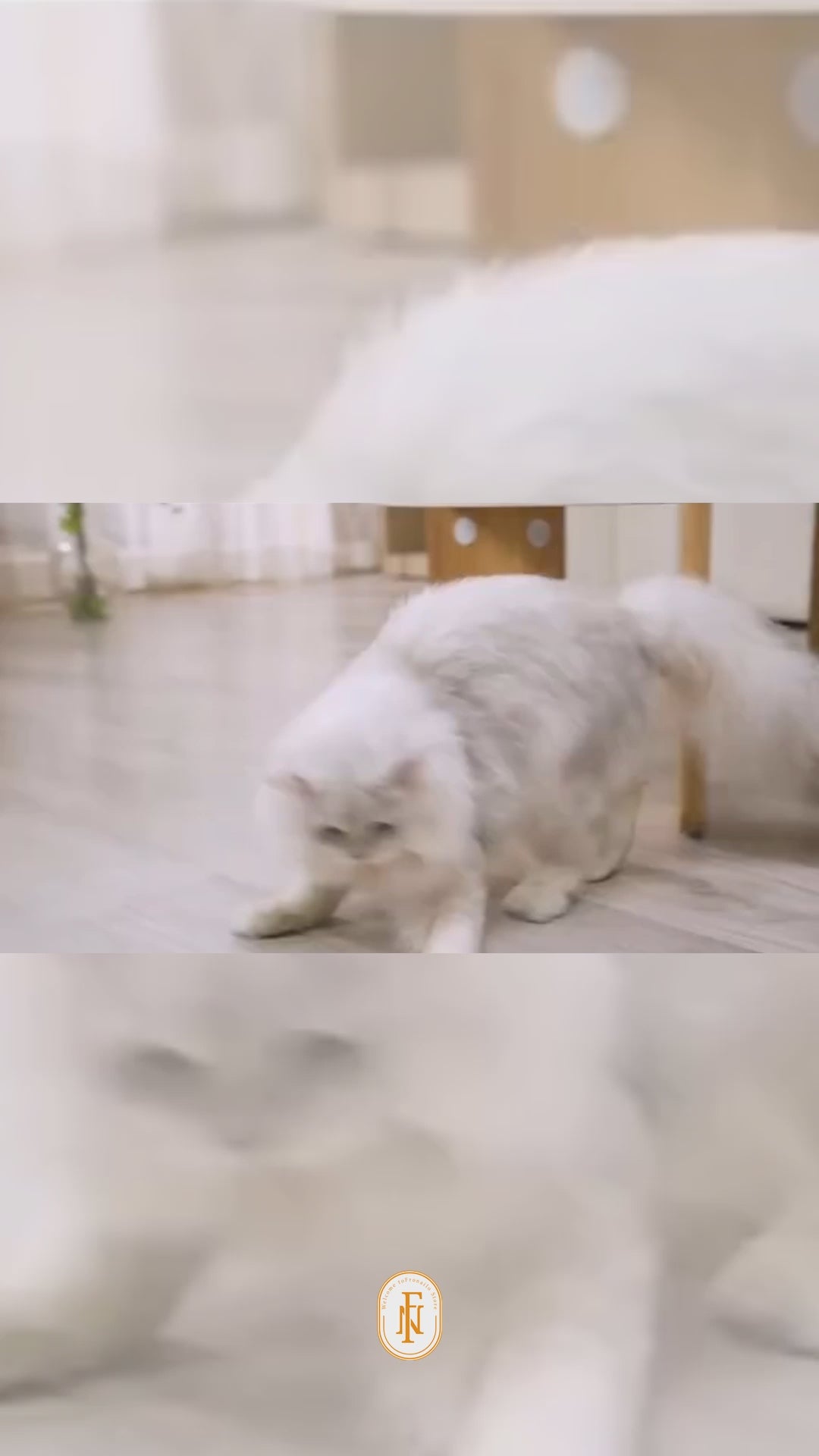 Load video: Automatic, interactive toys for  cats/kittene/dog