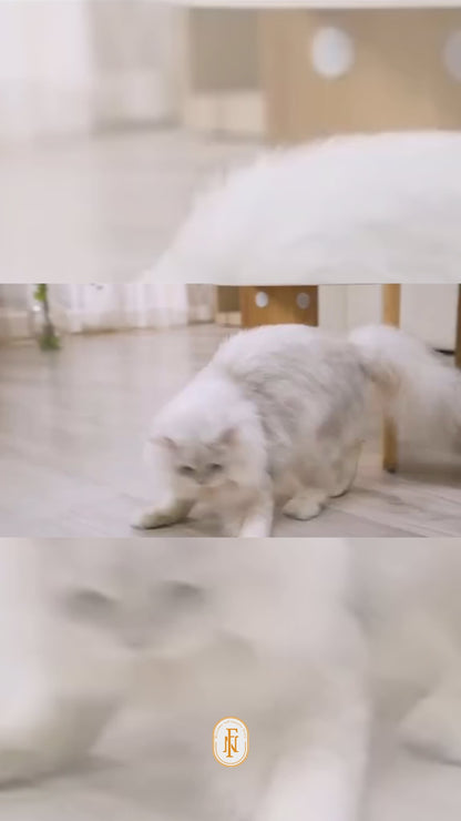 Automatic, interactive toys for  cats/kittene/dog