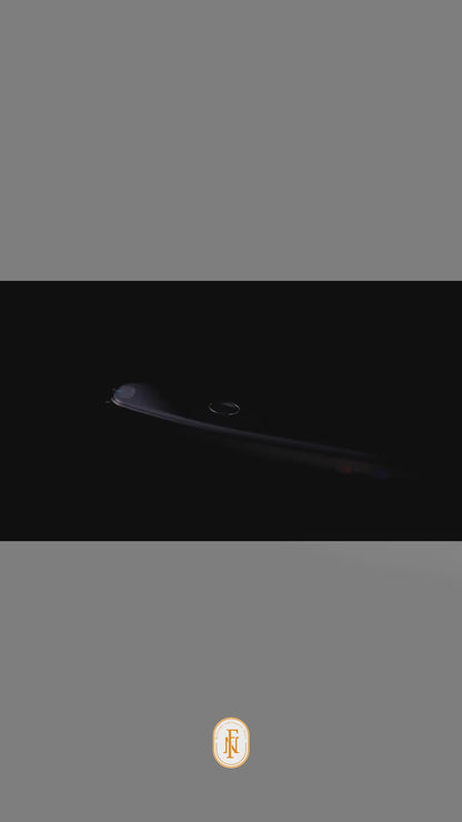 Smart  scanner and translator pen